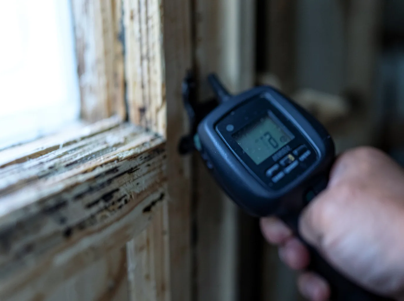 Moisture Inspection And Documentation in Ridgeland, WI